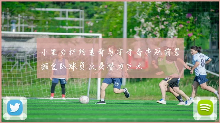 小里分析约基奇与字母哥夺冠前景掘金队球员交易潜力巨大
