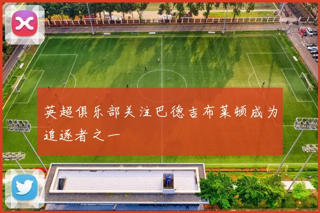 英超俱乐部关注巴德吉布莱顿成为追逐者之一